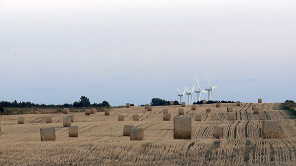 Farmland and windenergy
