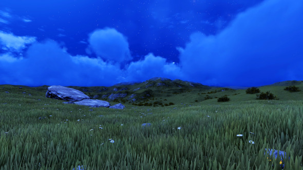 Night Field Landscape