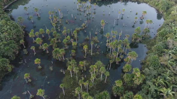 Panning wide of Macaws Lake tourism landmark at Nobres Mato Grosso Brazil. alt