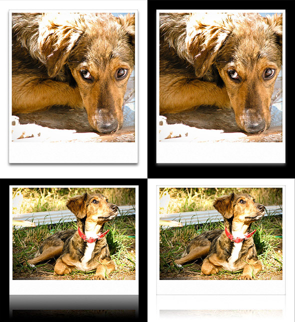 Polaroid Actions - Utilities Actions