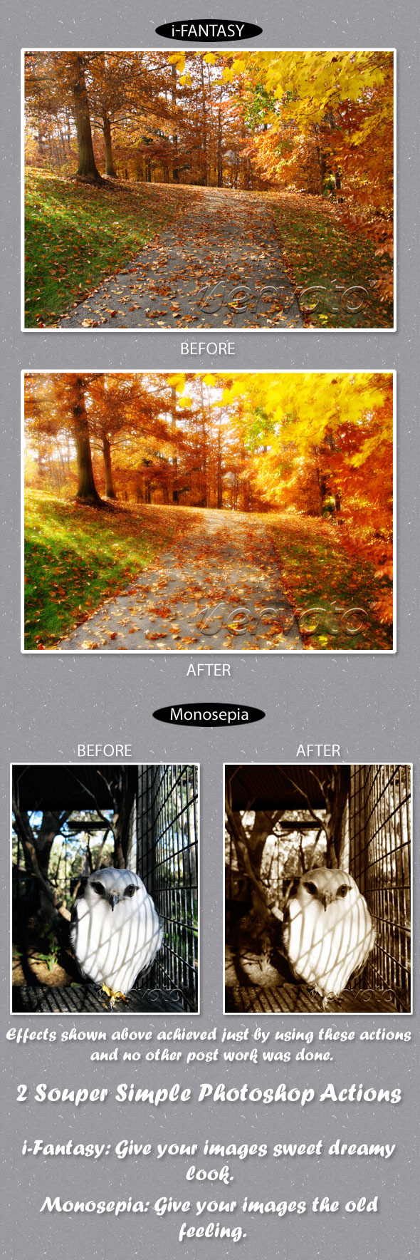 2 Souper Simple Actions - Photo Effects Actions