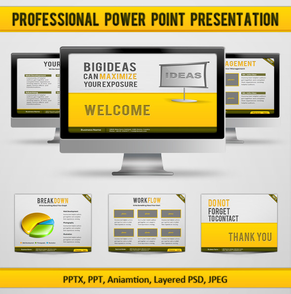 Professional Power Point Presentation