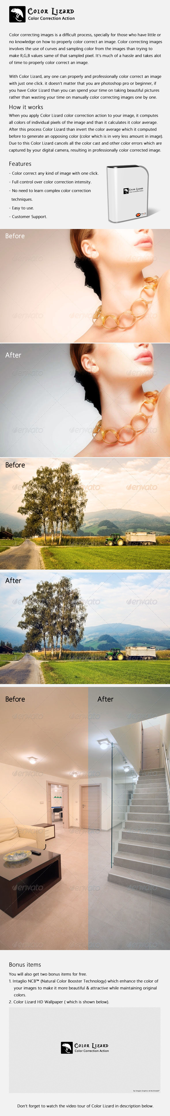 Color Lizard - Color Correction Action - Photo Effects Actions