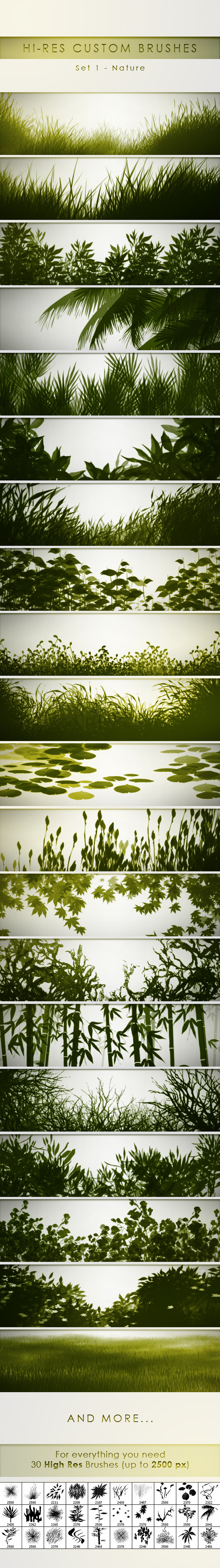 30 Hi-Res Custom Brushes - Nature - Flourishes Brushes