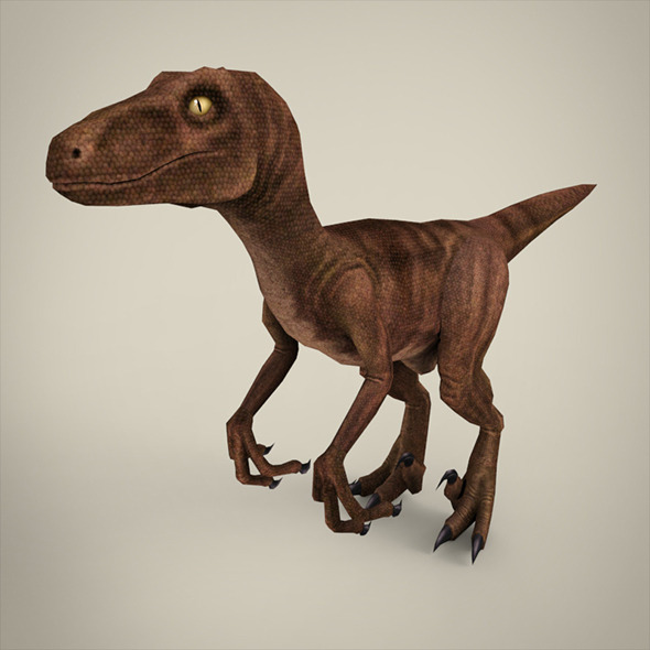 Raptor - 3Docean 8793590
