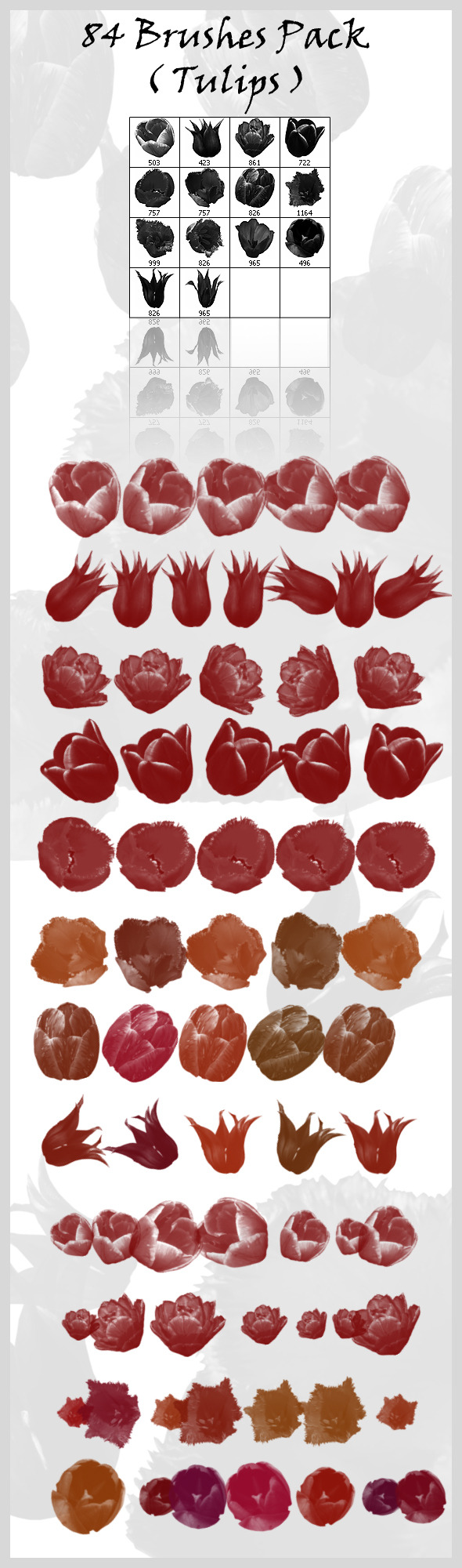 84 Brushes Pack ( Tulips ) - Flourishes Brushes