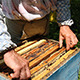 Beekeeper Working on Beehive - VideoHive Item for Sale