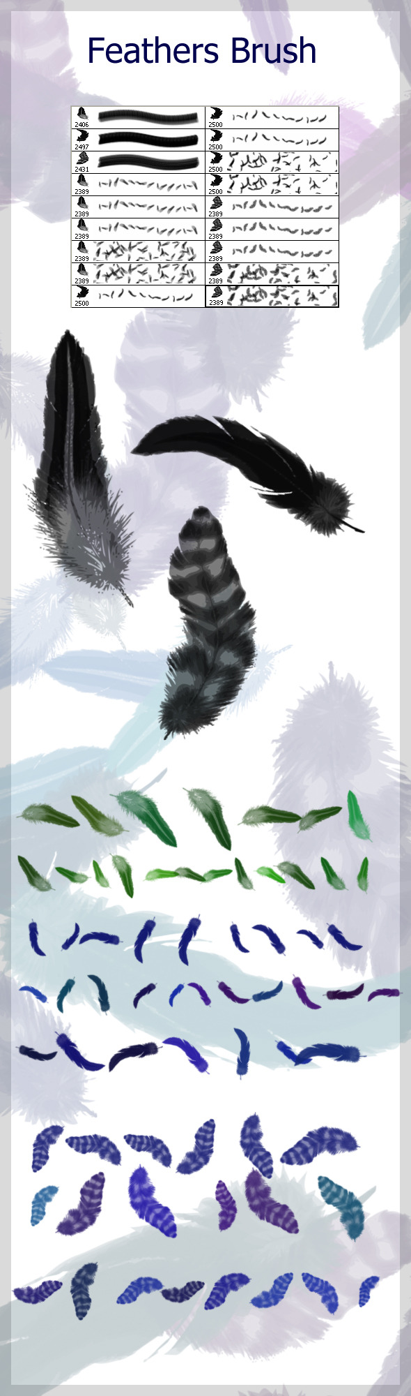 Feathers Brushes - Brushes Photoshop