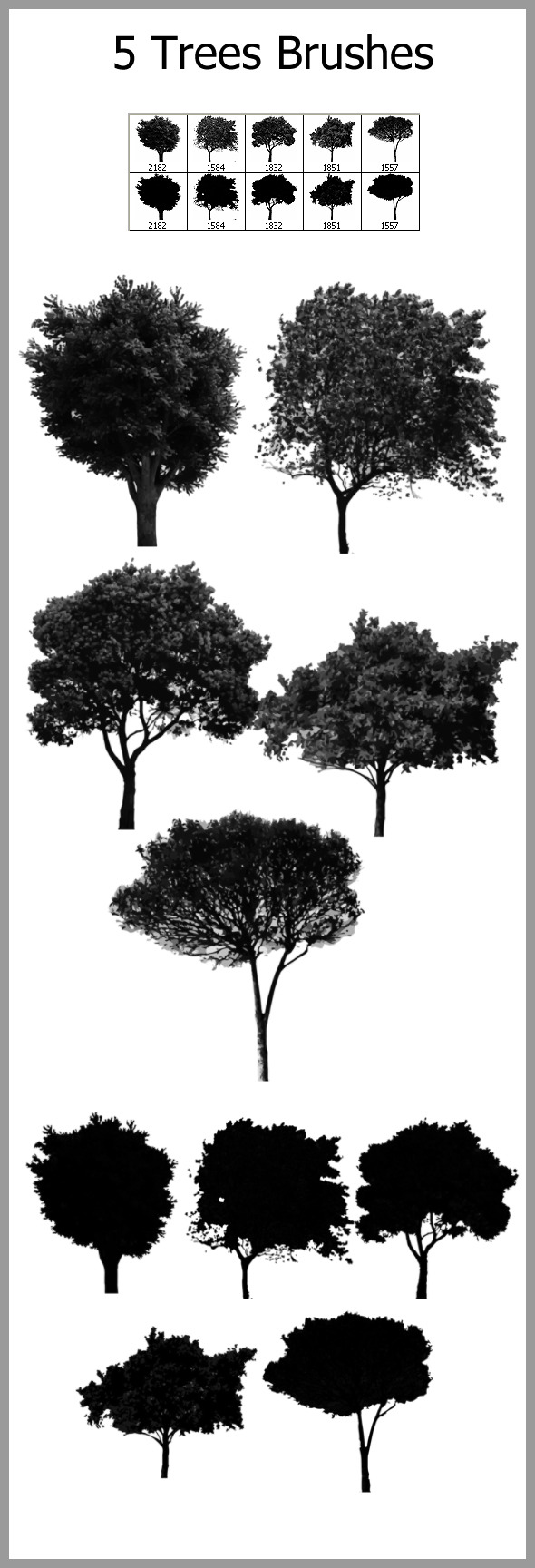 5 Trees Brushes - Flourishes Brushes