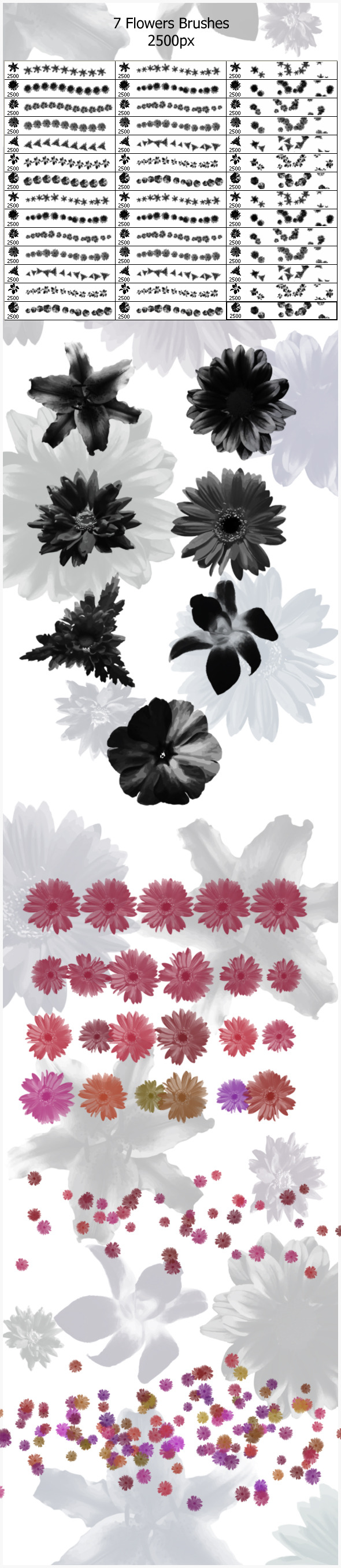 7 Flowers Brushes (2500px) - Flourishes Brushes