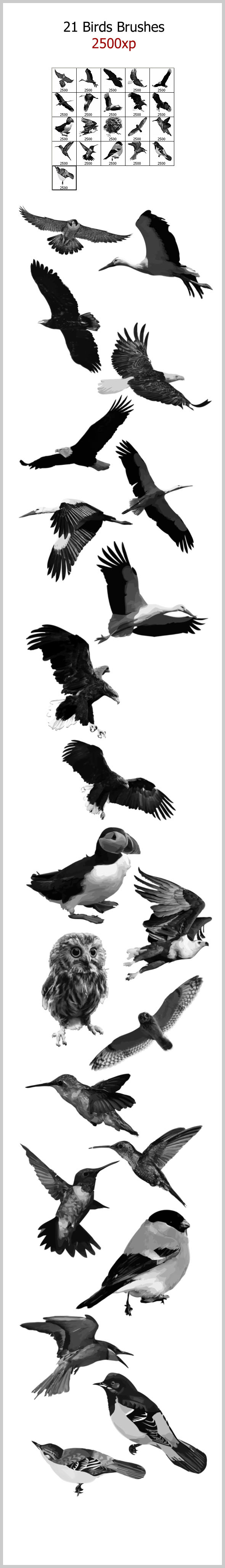 21 Birds Brushes (2500px) - Brushes Photoshop