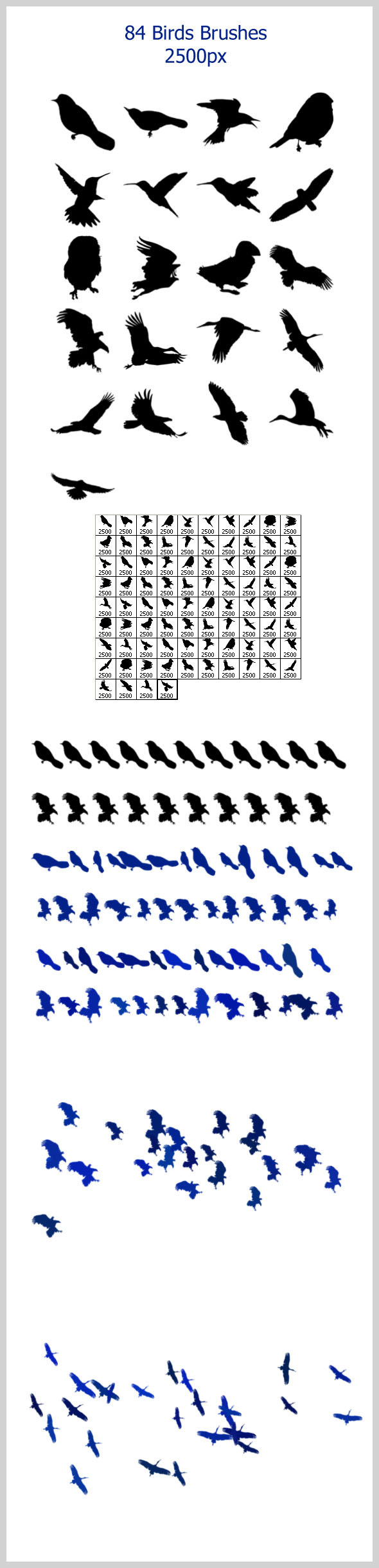 84 Birds Brushes (2500px) - Brushes Photoshop