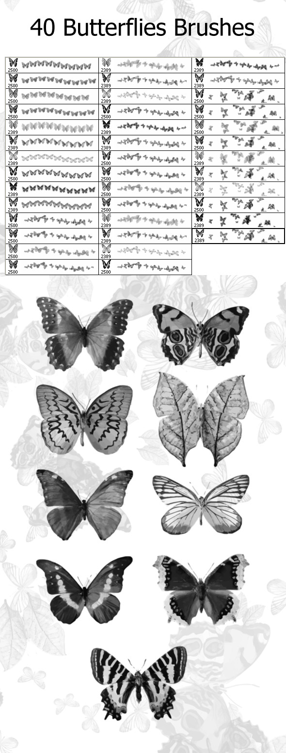 40 Butterflies Brushes (2500px) - Flourishes Brushes