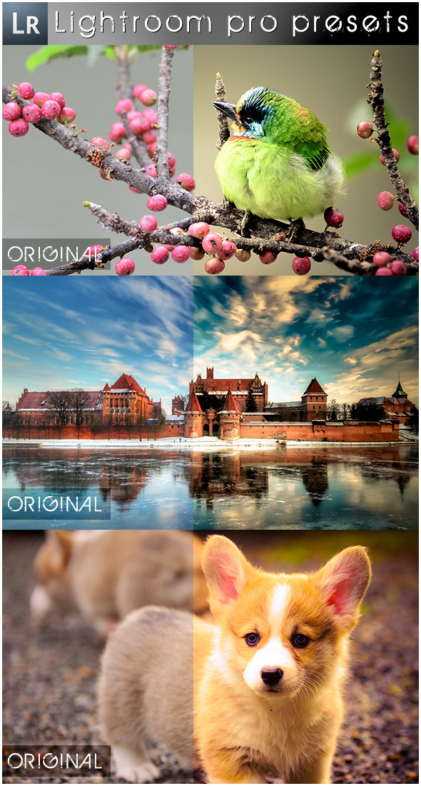 43 Mixed Pro Presets - Landscape Lightroom Presets