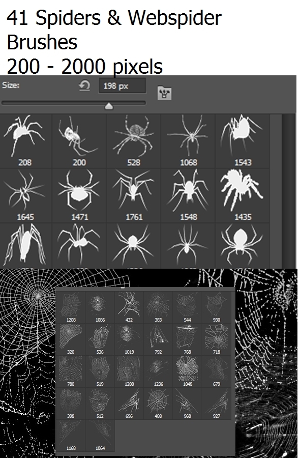 41 Photoshop Spiders & Web Brushes - Miscellaneous Brushes