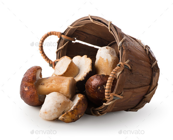 Mushrooms in a basket - Stock Photo - Images