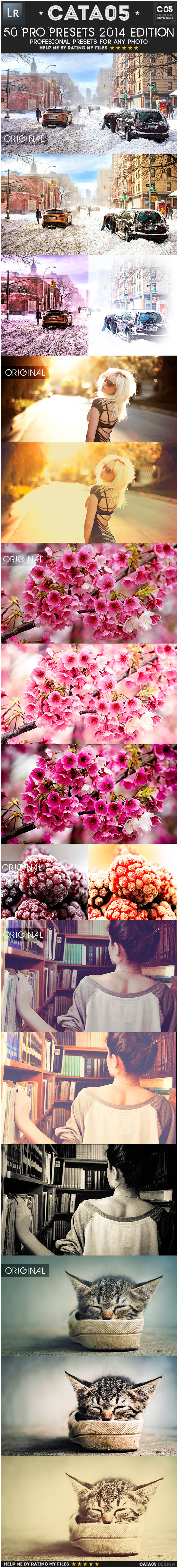 50 Pro Presets 2014 Edition - Cinematic Lightroom Presets
