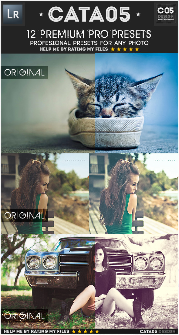 12 Premium Pro Presets - Vintage Lightroom Presets