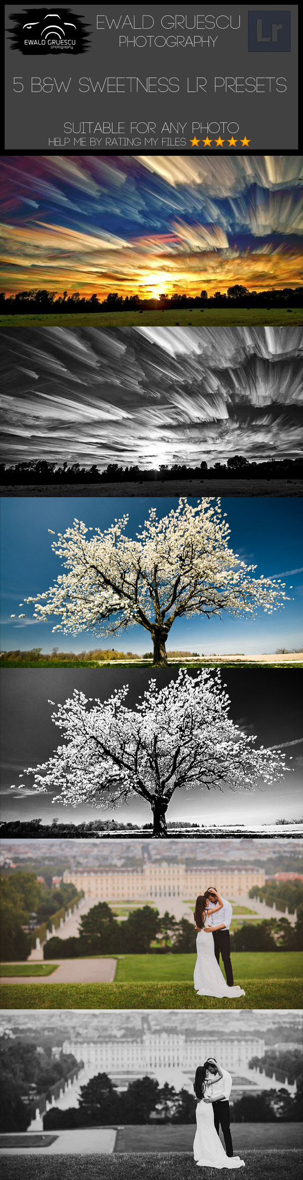 5 B&W Sweetness Lightroom Presets - Black and white Lightroom Presets
