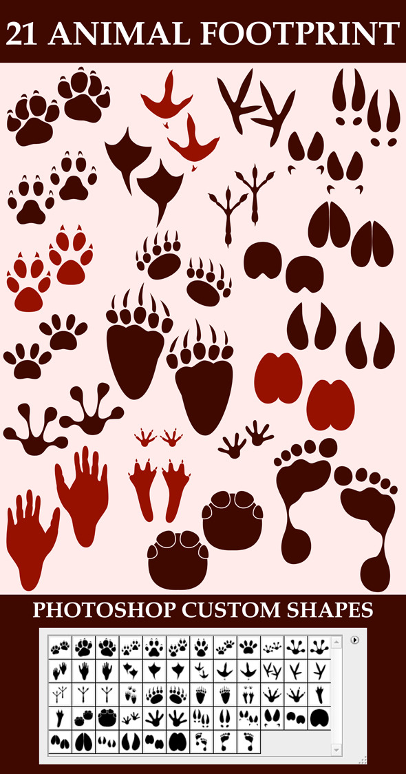 Animal Footprint Custom Shapes - Animals Shapes