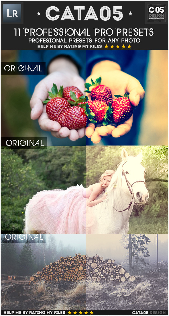 11 Professional Pro Presets - Vintage Lightroom Presets