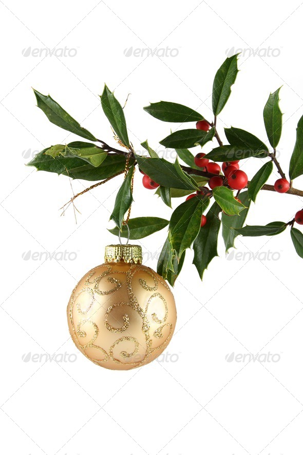 Holly and Gold Ornament - Stock Photo - Images
