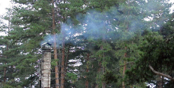 Smoking hut chimney in the forest