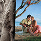 Slide Show - The Tree Of Memories - VideoHive Item for Sale