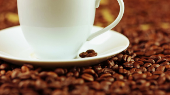 Coffee Beans and Coffee Cup alt