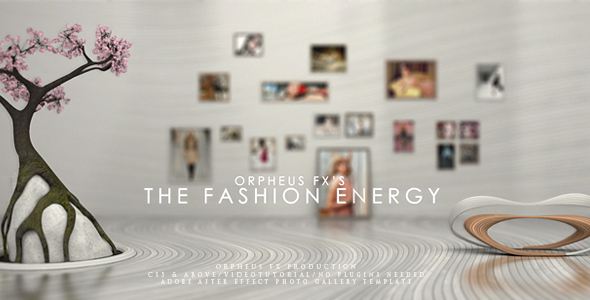 The Fashion Energy - Photo Gallery 