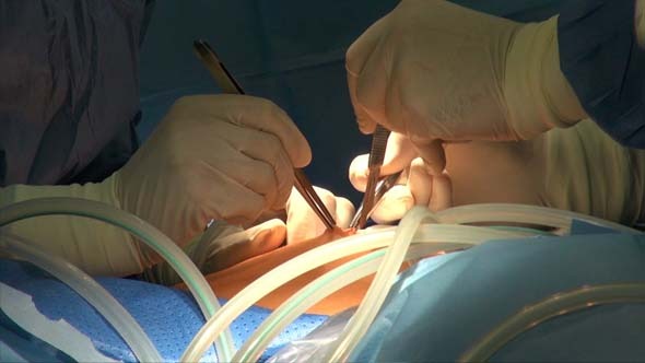 Gynaecology And Laparoscopy alt