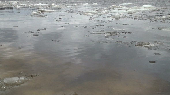Ice Floe Floats in Water