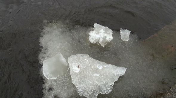Floe on the River Bank