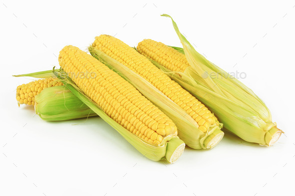 fresh corn - Stock Photo - Images