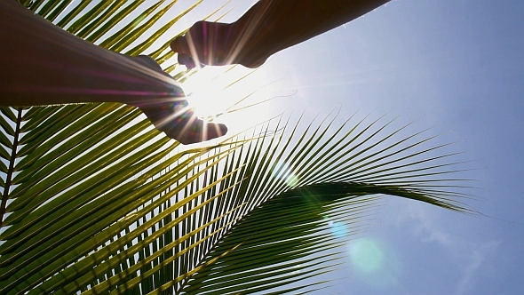 Sun in the Hands in Slow Motion alt