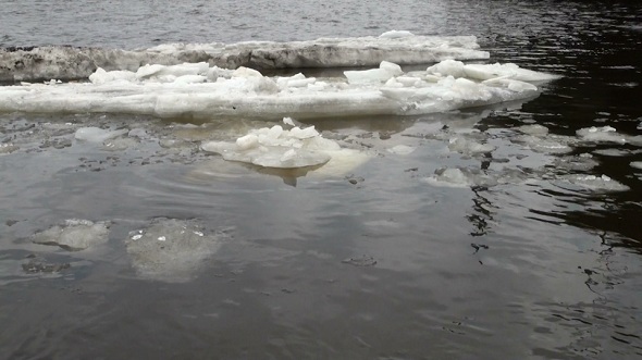 Ice Floe Floats in Water 3