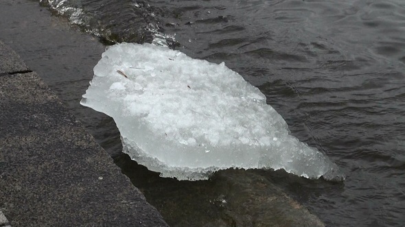 Ice Floe Floats in Water 4