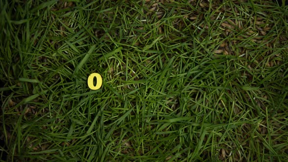 Organic Word Surrounded by Food Waste on Lawn, Greenhouse Gas Emissions Reason alt