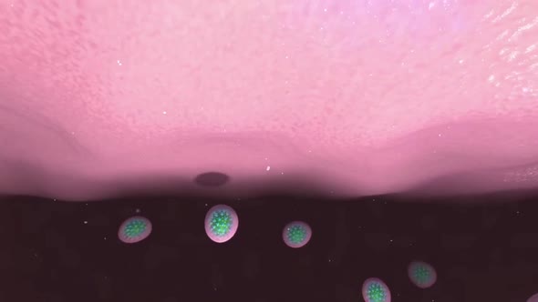 Covid-19 is navigating the immune system alt