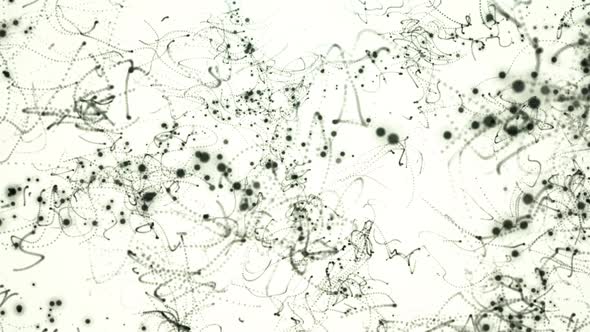 Abstract Particle Lines White Background