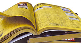 Directory WordPress Theme