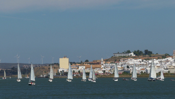 Many Sailing Yachts Moving in the Bay 885 alt