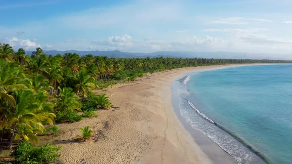 Tropical palms beach island vacation. Dominican Republic Punta Cana best beach Caribbean sea water