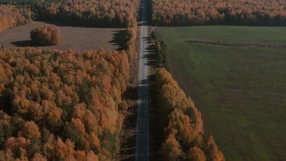 Asphalt road with between forest and green fields