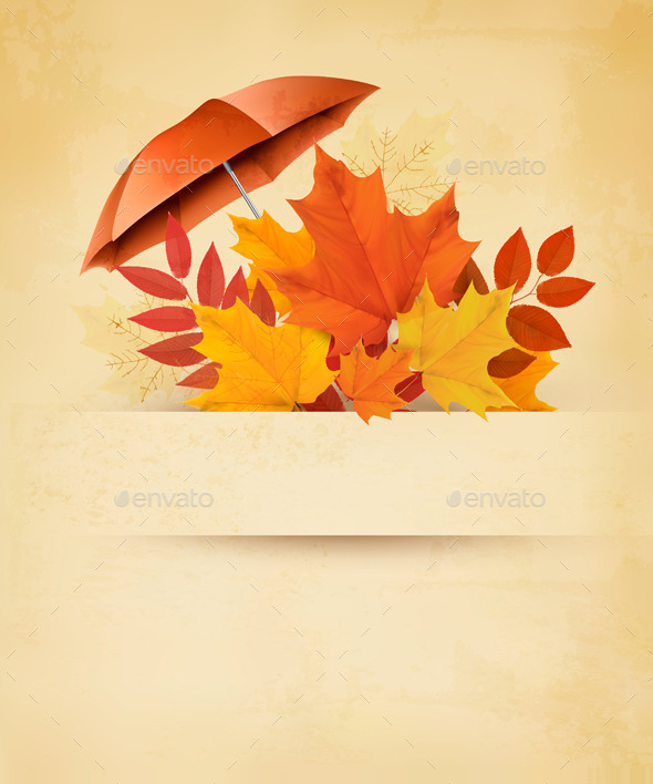 Autumn Background with Autumn Leaves - Seasons/Holidays Conceptual