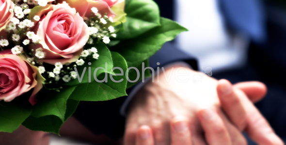 Wedding and Special Events Collection