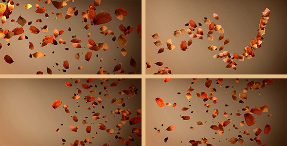 Autumn Leaves Background Pack (4 in 1) 