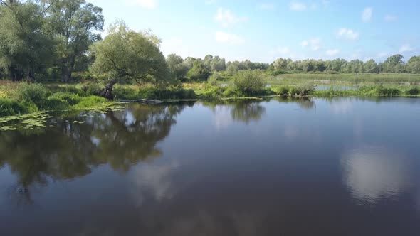 Aerial Summer View To Desna River and Forest alt