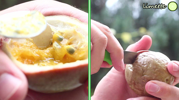 Eating Tropical Fruit alt