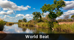World Beat